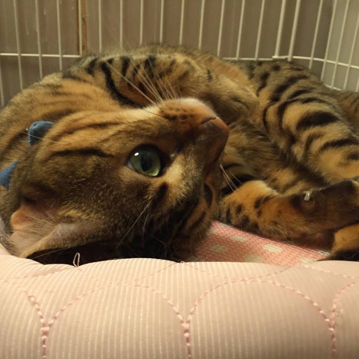 A6314832 fd54 4580 a51a bea872b2a2ad