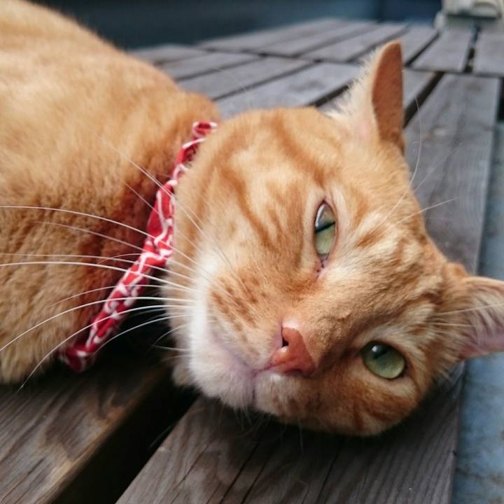 A6315d86 c10d 42dc 8b4d afc9cf723e56