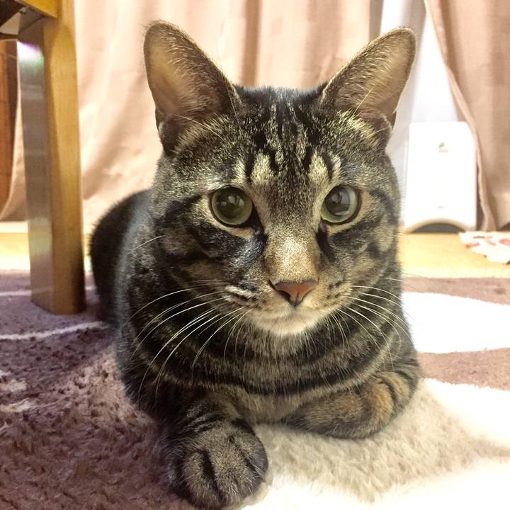 A631a5c1 c996 4b66 bf18 67e25347adef