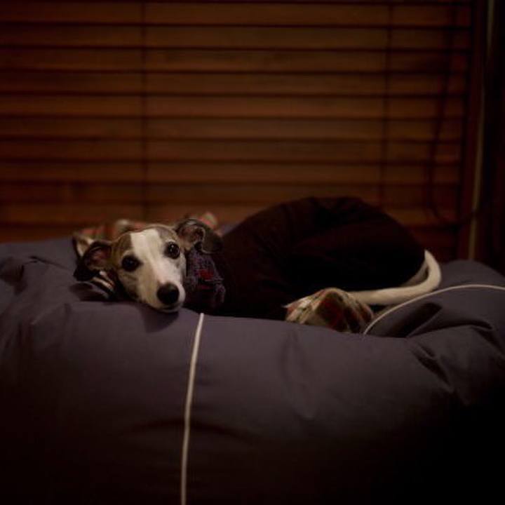 A632fc59 3aae 424b b5b0 b7aa96629052