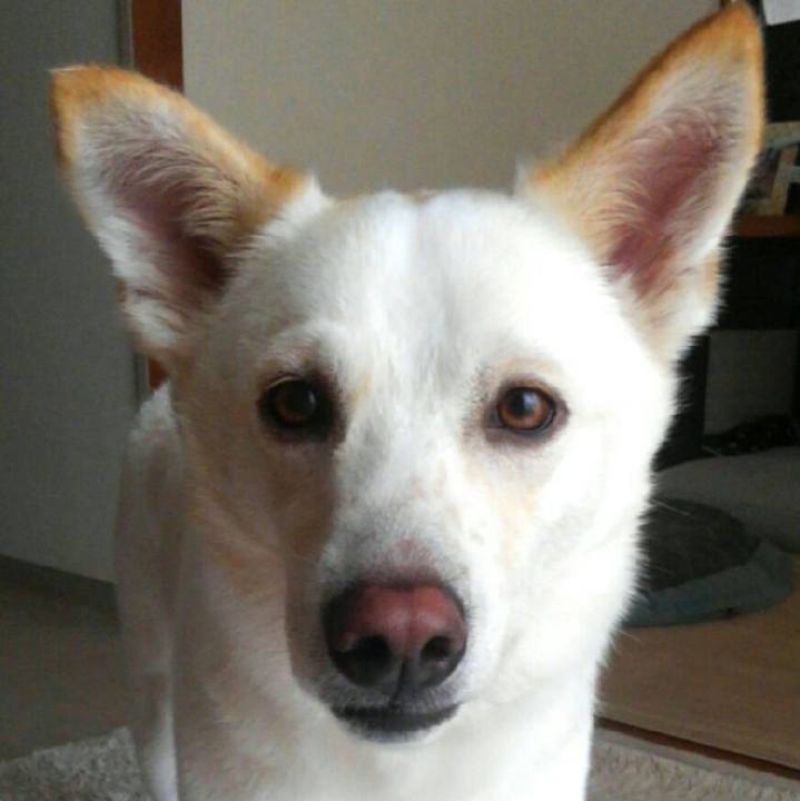 A6336adb 53e4 4cfc a030 e8cc5b0f5a68