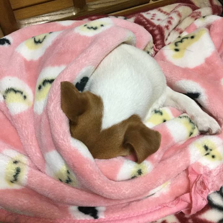 A634fc8d d8cb 4110 833b 0df0eb485790