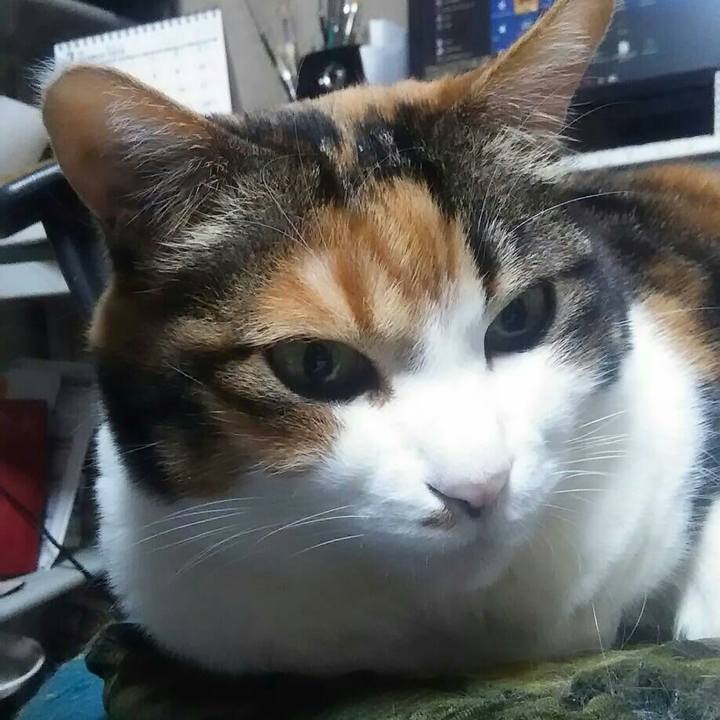 A6354179 f9ec 46f0 b76b a4e8f3f9958b