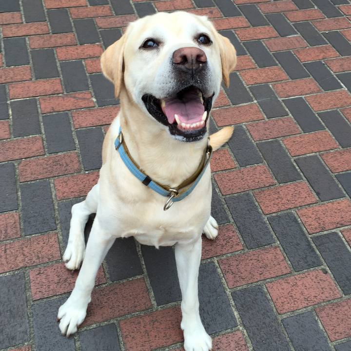 A63558bd ab50 46a9 b219 7b1507755424