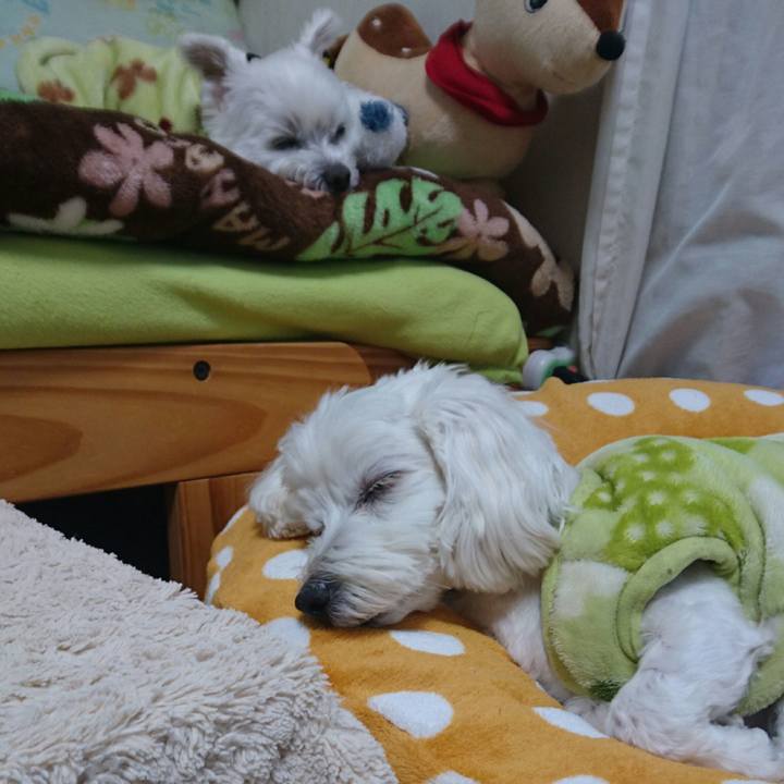 A635e9cd 2b29 43c9 a623 4f12c3c5e11e