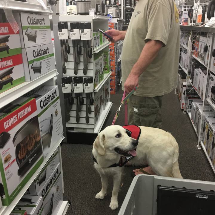 A6361d82 7264 42fb 8dfd d6b71d048f16