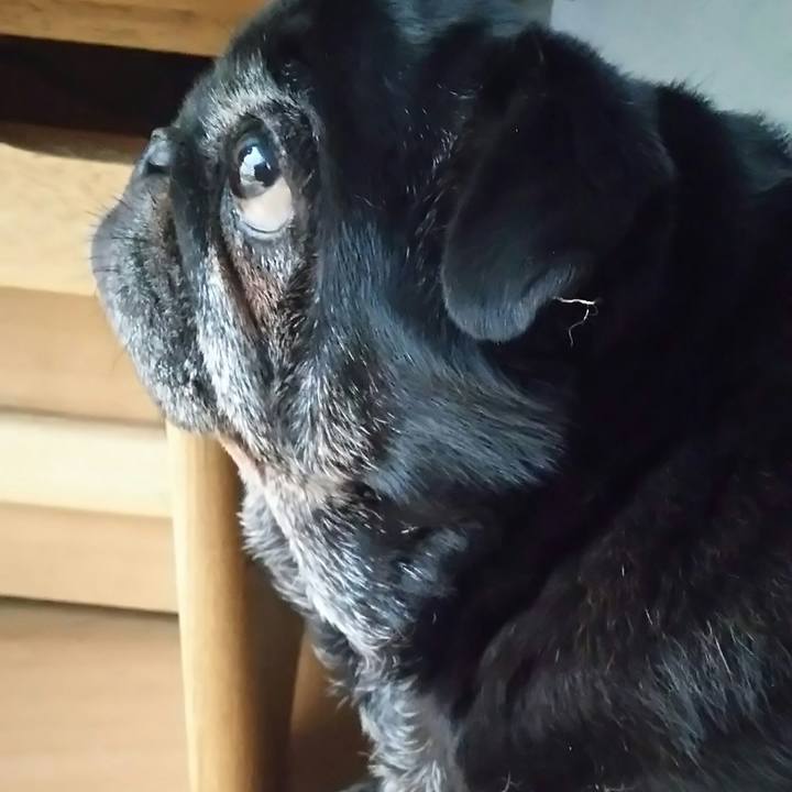 A6370f9a 5331 450e 9d89 cdaf9965bcea