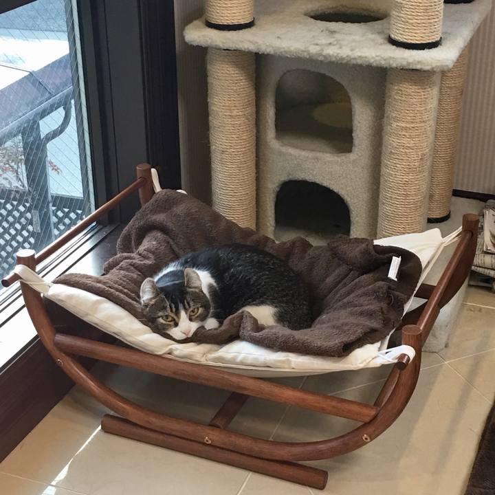 A6372c23 ed01 42a2 8064 3308a73a375e