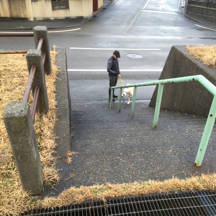 A6374522 33a4 44d8 8b10 d7484d7b6caf