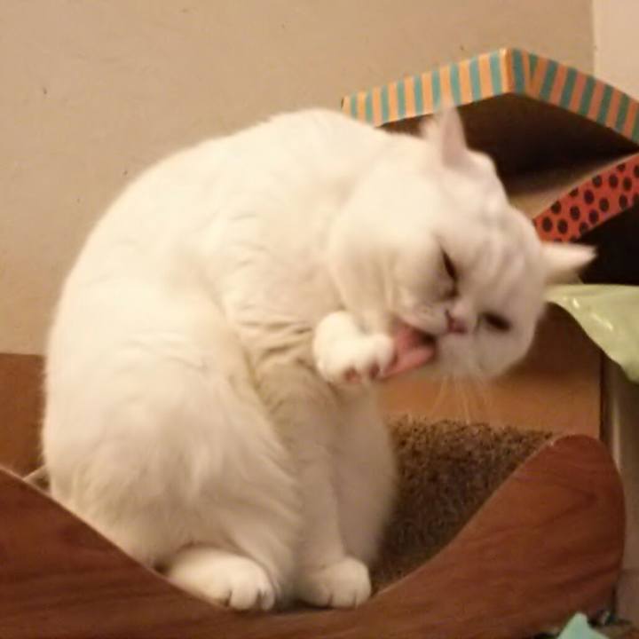 A6377c50 b895 448e 89bc c1b567cfc062