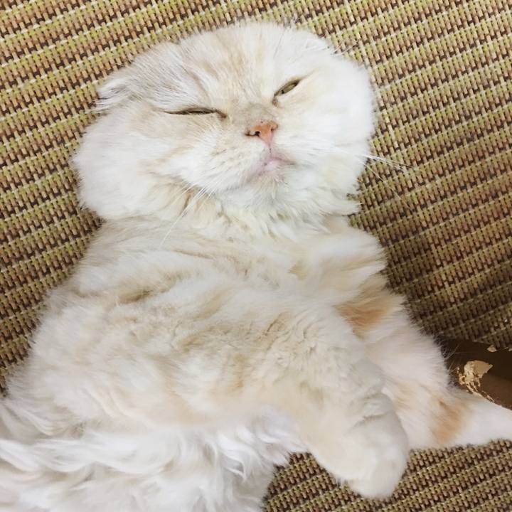 A6379486 5aa6 410e bf1d c6fb0e990aa2