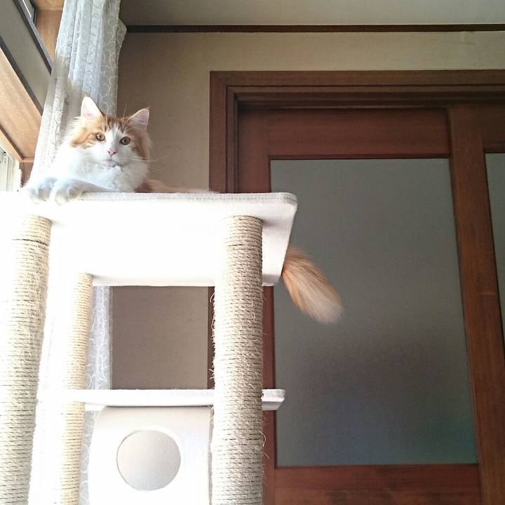 A637b1db 6225 44a8 af43 2b9031290fc4