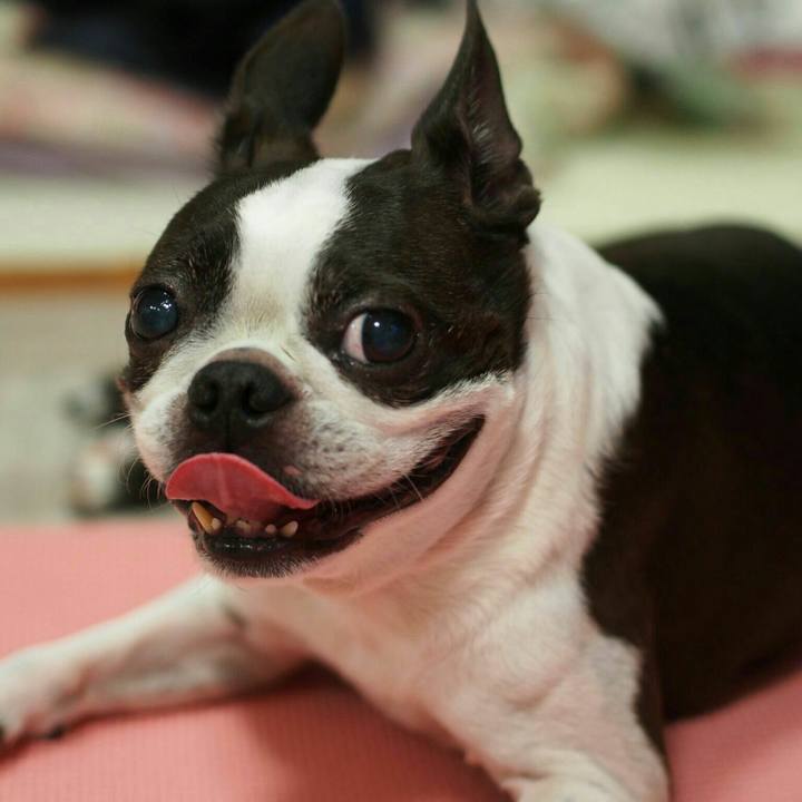 A637dfe2 8961 4381 9c7d 980748cc0bd4