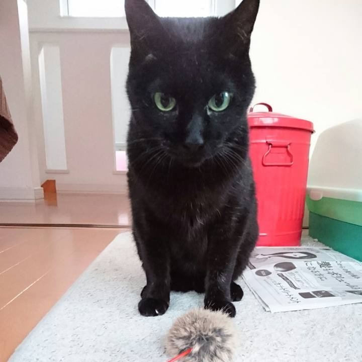 A6388bc1 bdba 4302 b1c7 93c60e15bdb7