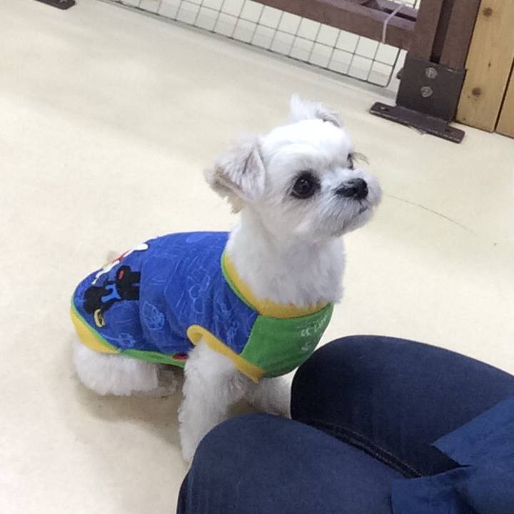 A6388dad 6434 49b3 aa5c 661abeae8ba2