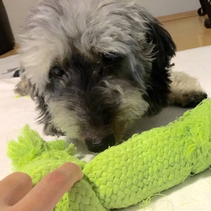 A639b12d b522 4064 87d1 acf94d05c6e0