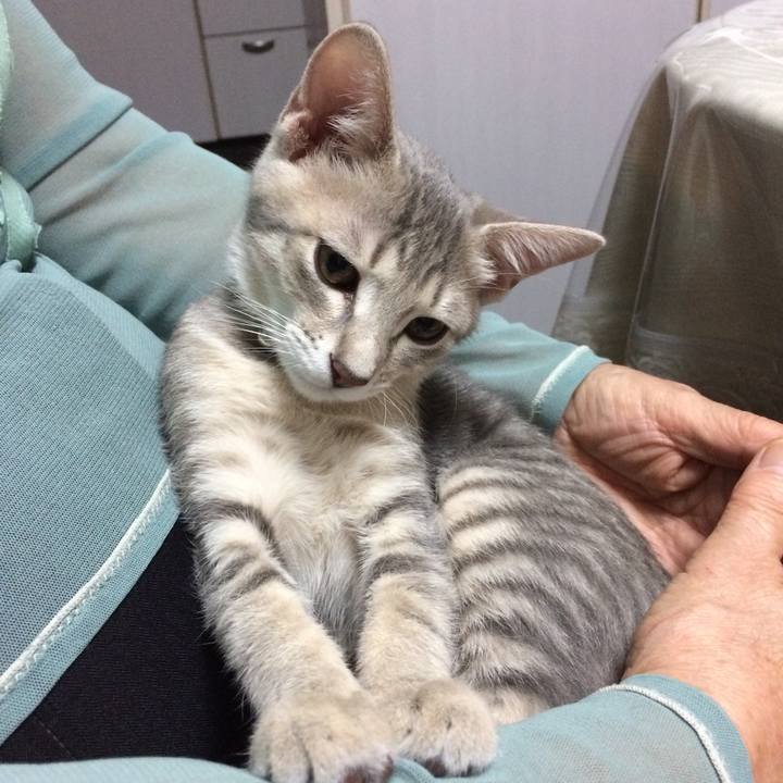 A639c3bd 8565 4428 90e7 0c157a10f9d9