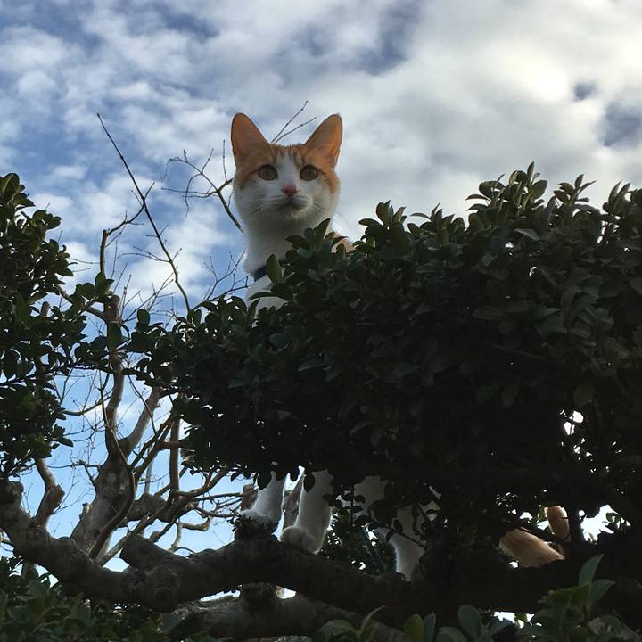 A639ed09 92f7 4800 a76d a1f09f52b59a