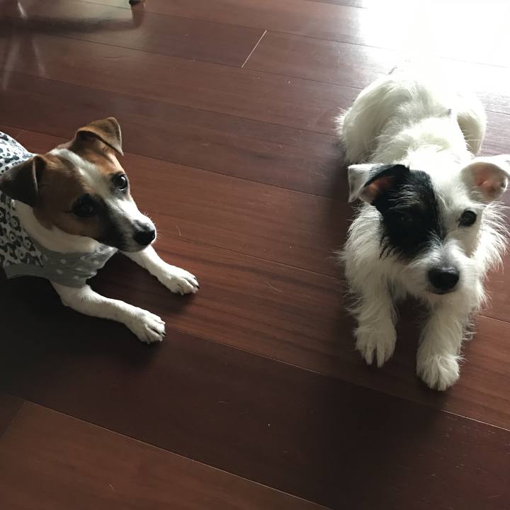 A63a3a6a d610 4343 b258 8639535512f9