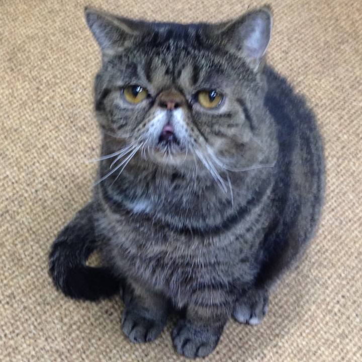 A63a88c7 b948 43ec a9a0 26a4c3f00e7d