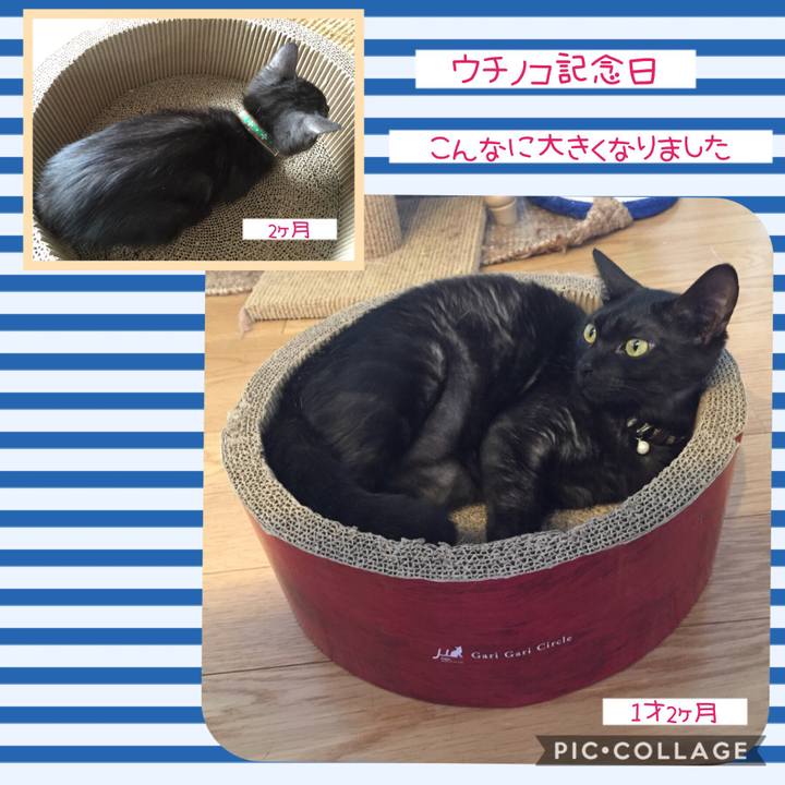 A63a9849 7327 492d 8509 9a0a7a77f1a2