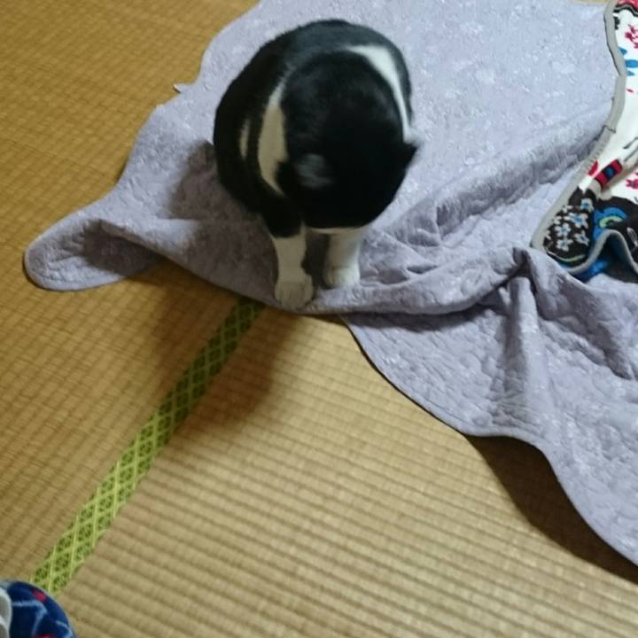 A63b43a7 d62d 4b66 a990 db2415bfad68