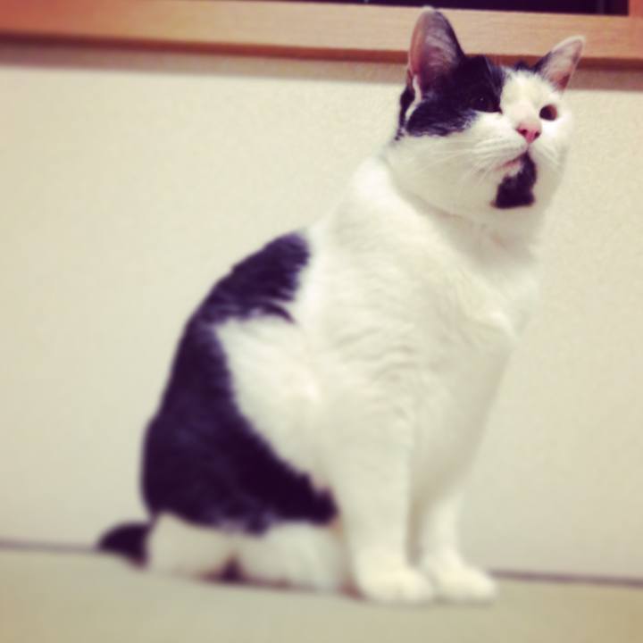 A63b8622 7aee 49a8 b686 f04063d99ae4