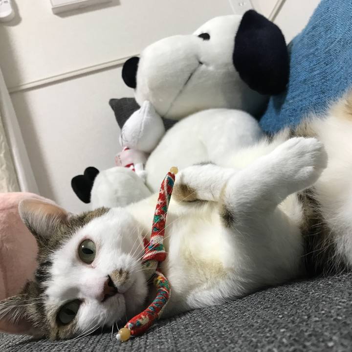 A63c9a7a fcc0 473a 87ce 24d6c84adc5c