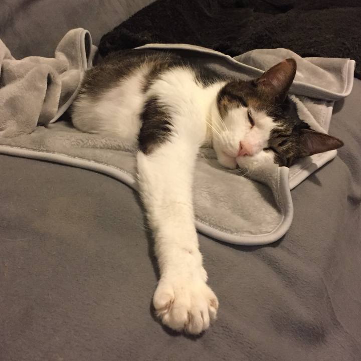 A63ccdd9 c3b6 46d5 9d63 b189e746851f