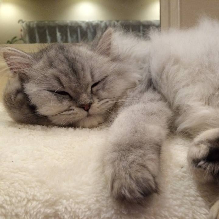 A63d2d4d 3307 48d3 b26f 42fd3ba0dfb8