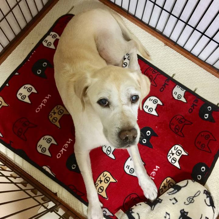 A63d63c2 07fd 44f9 9099 4722528eb68a