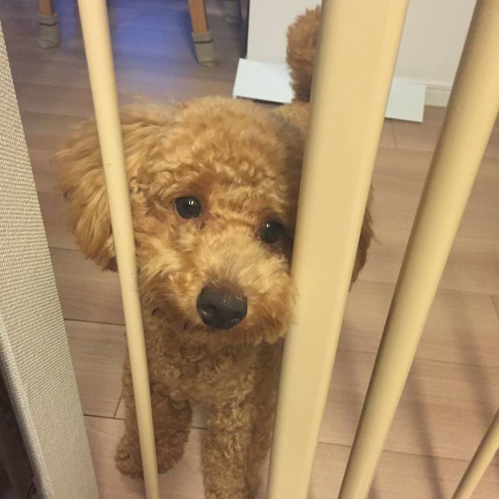 A63dd064 2ef3 4228 ba46 93a6a069cafe