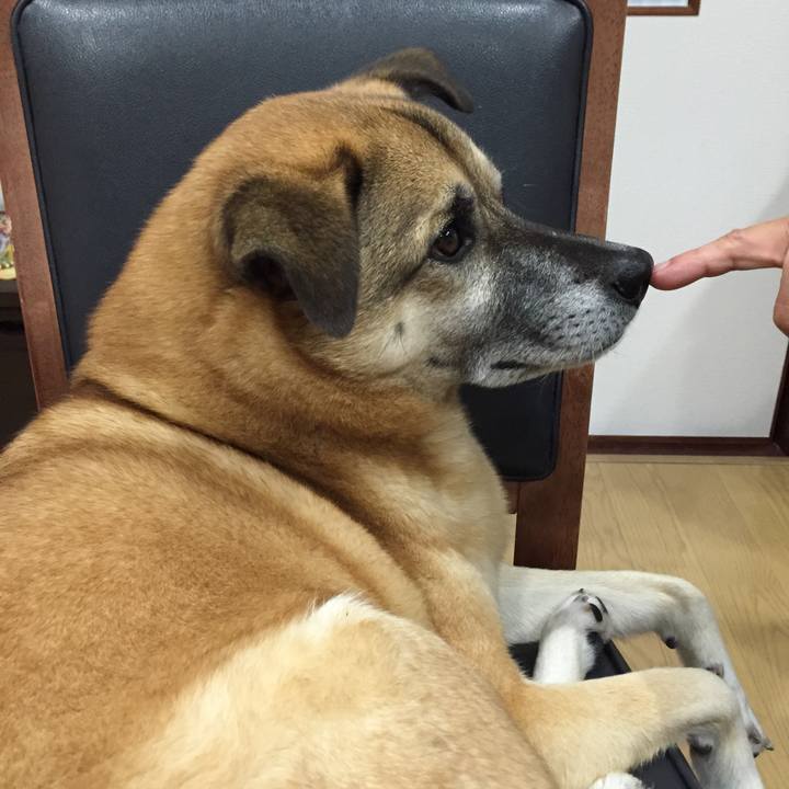 A63de02f 2573 4a17 ba65 bca9550ebc17