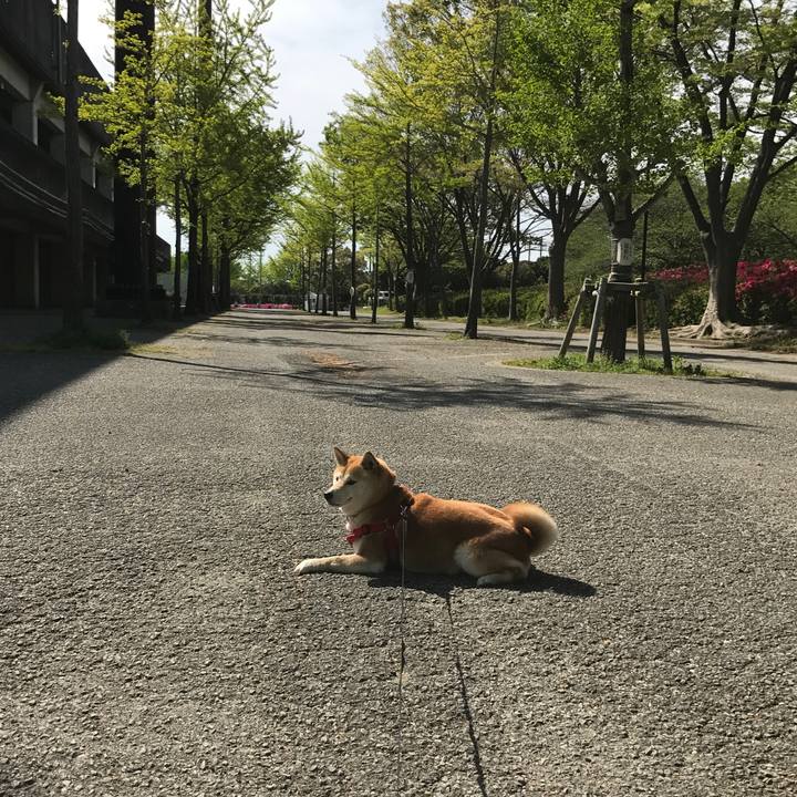 A63deada 5043 44ed b62d c827e16331cf