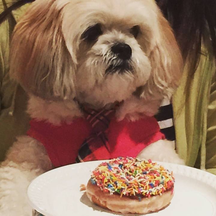 A63f8c51 fff2 4ac9 89be f4f96a999d24