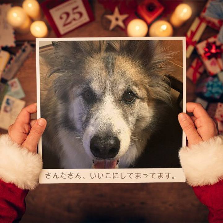 A63fe8d2 04a9 459d 9847 b149dd886af7