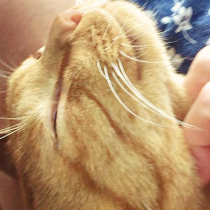 A63fec6b 013f 4c5b bf4e 03b315314ec4