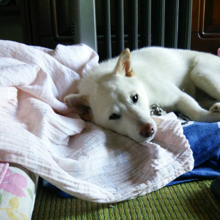 A6413611 19fc 4a6b 819b 18d78c101248