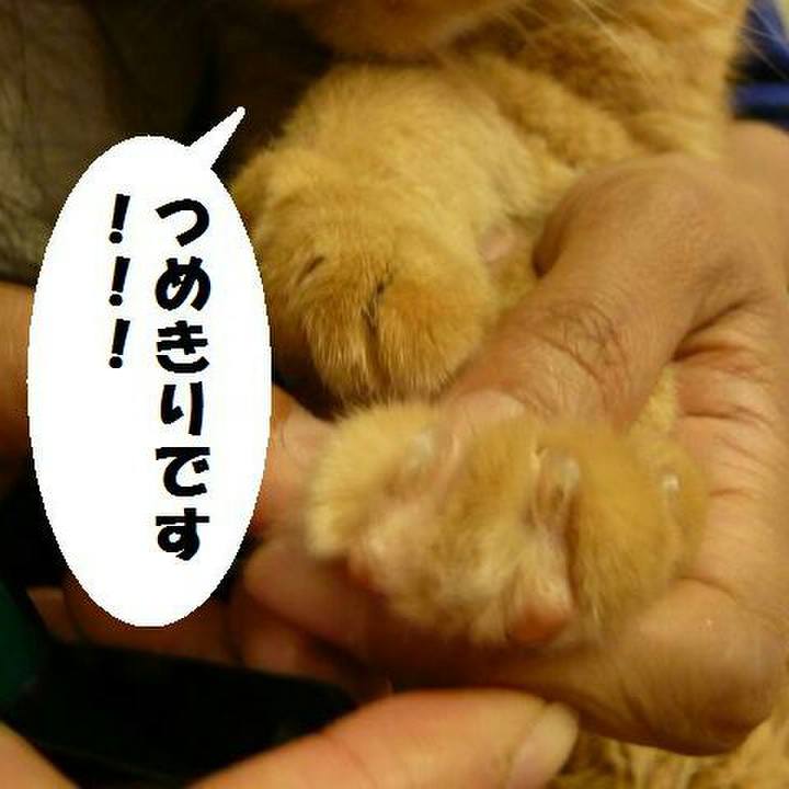 A641e80e 9de8 4900 9e2b 98ae56bc42cf