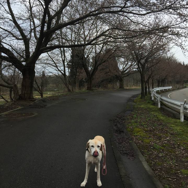 A6425151 d8e4 41d0 ab8f 13f8d8ecfe77