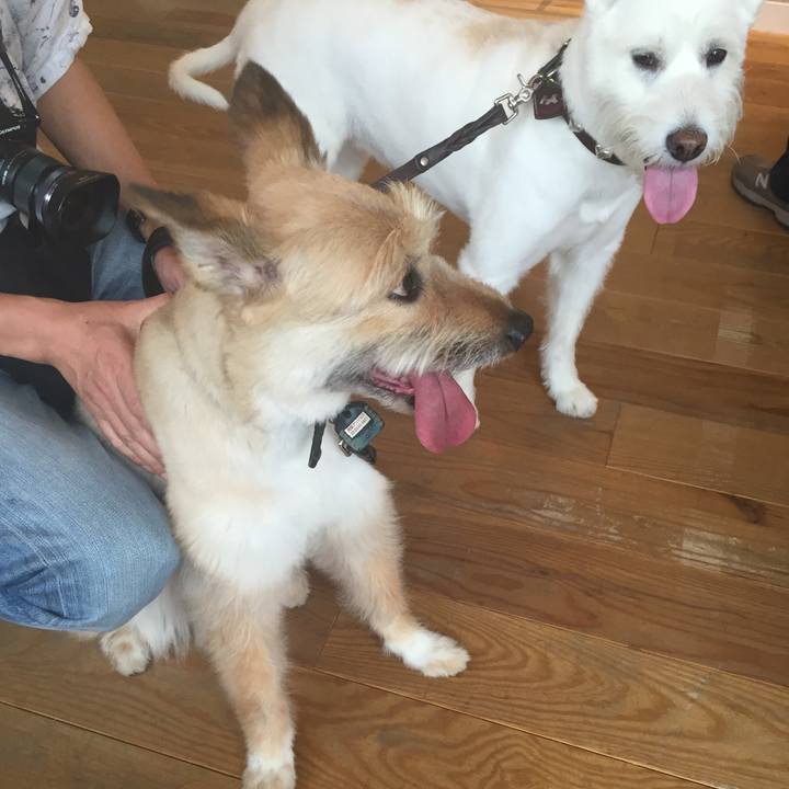 A6434227 0a14 46e8 b53d 42f99c759626