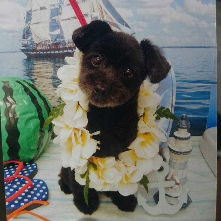 A6438443 a633 4c08 89d0 e837158e5b97