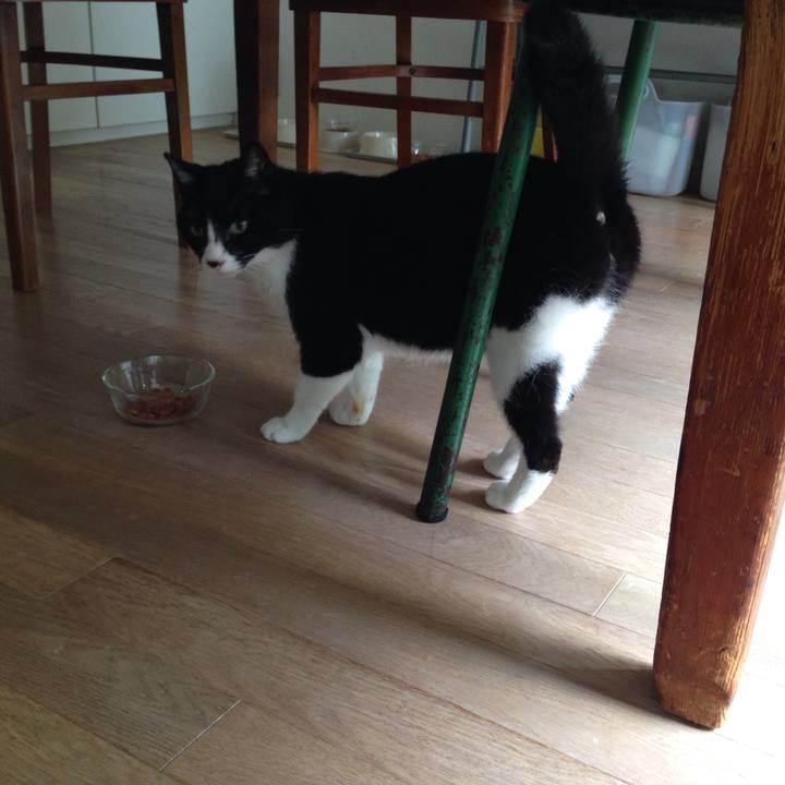 A643971f dbdf 4773 ae71 765eba69db88