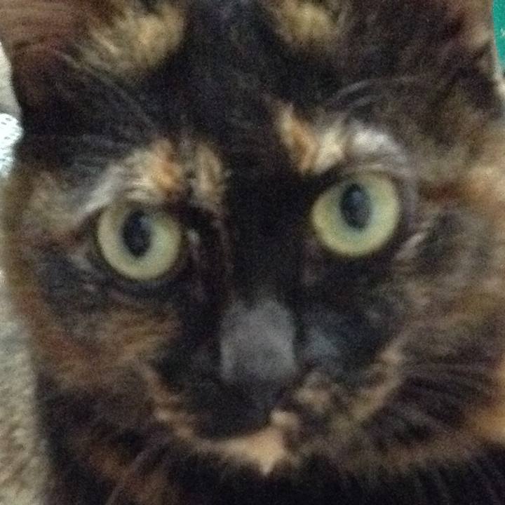 A643c859 52c3 4822 a479 8ef56d8de65f