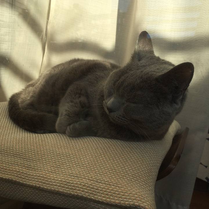 A643e44c 2639 4da4 9ec8 9ba2b03442f9