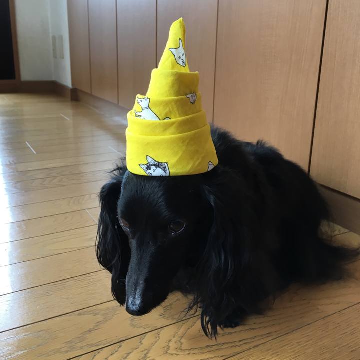 A64402f4 cc5a 4c48 a92a d77f81f48640