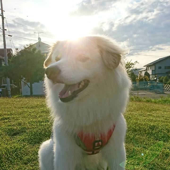 A64434f0 a38a 49f1 9bcd 4aeaa34bf294