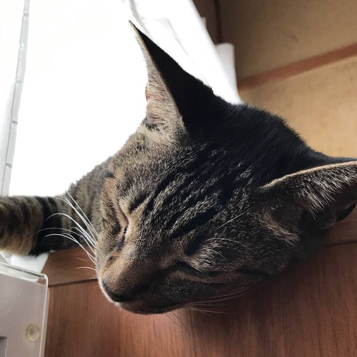 A6444bd9 9c90 4a68 a775 770edbae6b83