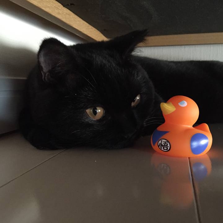 A64496f1 6707 49f3 a63d aa7c7e8e4414