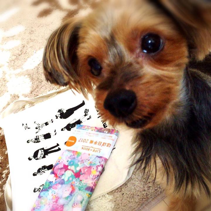 A6452e10 a84a 4db9 813a 117763358747